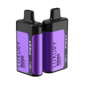 Fizzy Luxury 15000 Puffs Disposable Vape – Online Sales